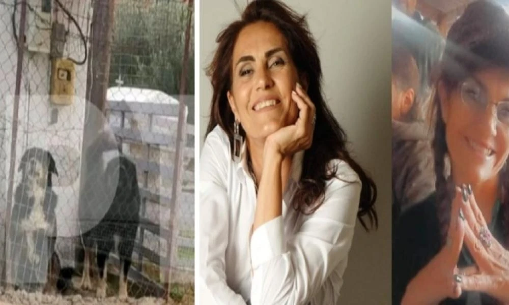 Θεσσαλονίκη: Βούλευμα «φωτιά» για τον ιδιοκτήτη των 3 σκύλων που κατασπάραξαν 50χρονη μητέρα